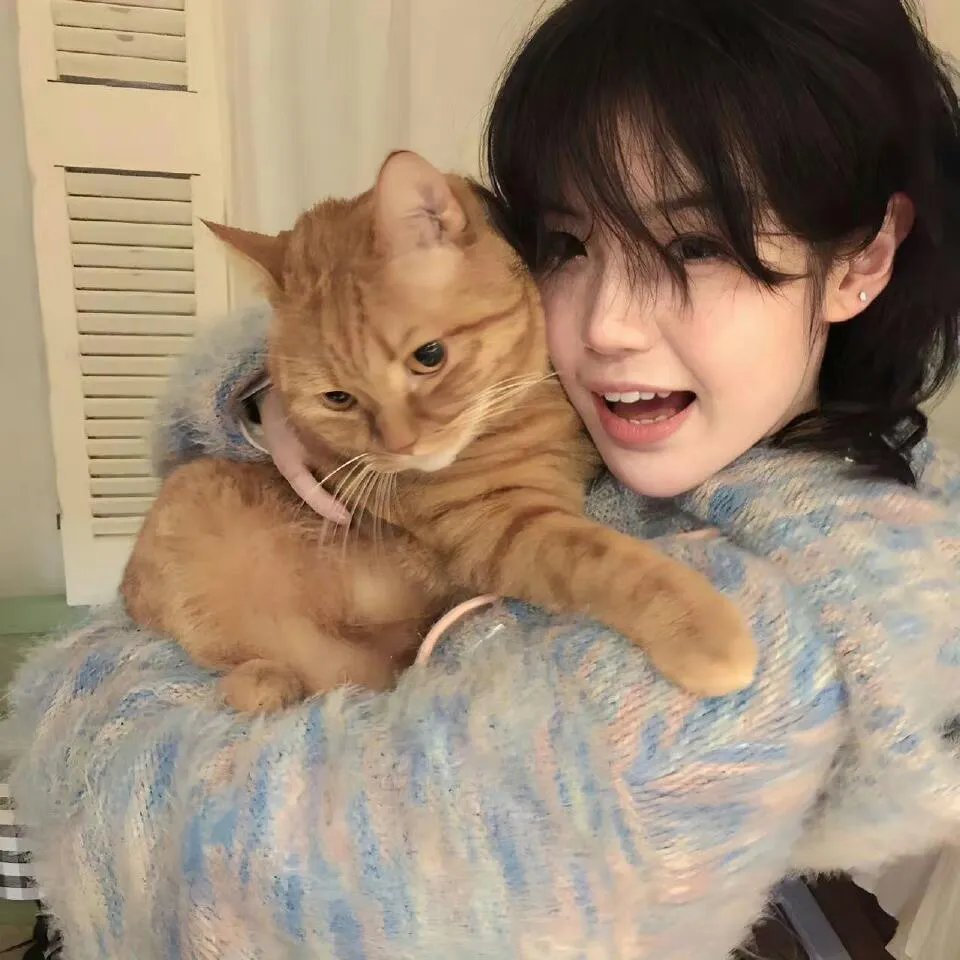 Umjolo:都怪恋爱脑